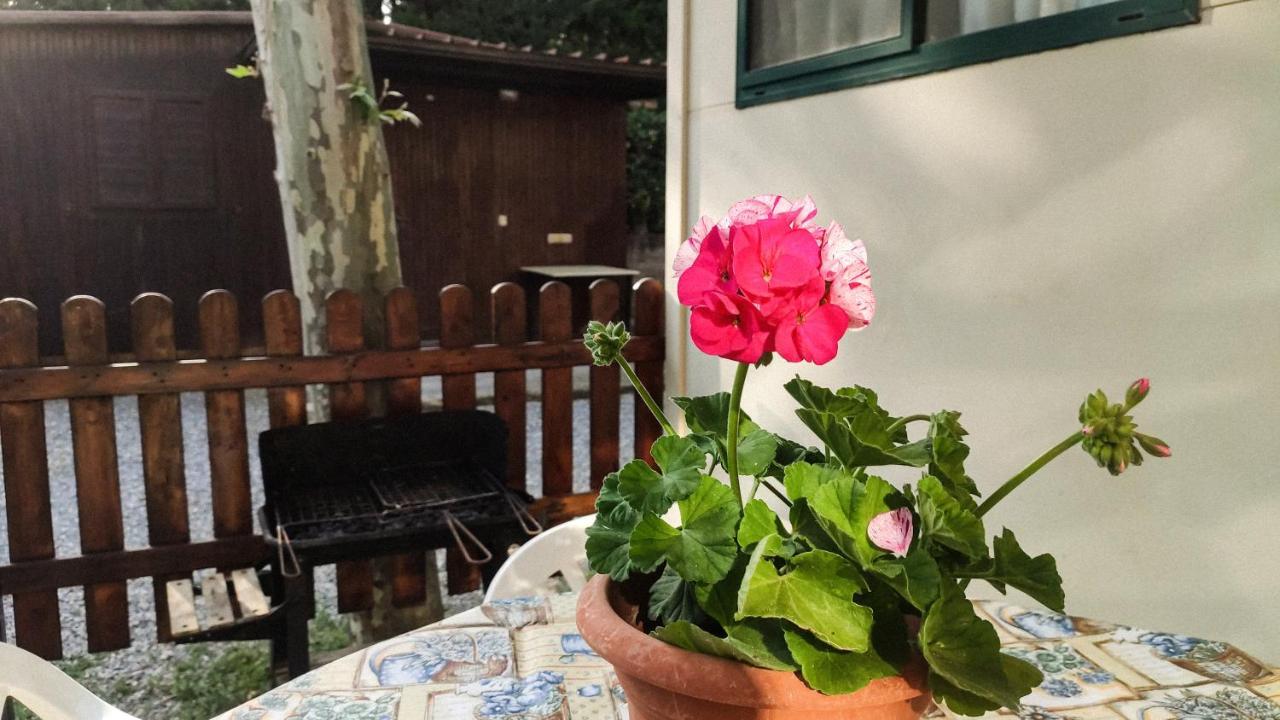 Hotel La Pineta Albenga Esterno foto